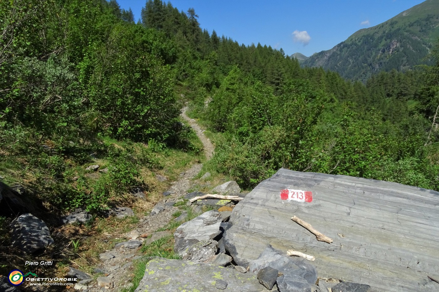 32 Da questo segnavia o meglio dal prossimo prendo a dx per il Vallone (non segnato) .JPG